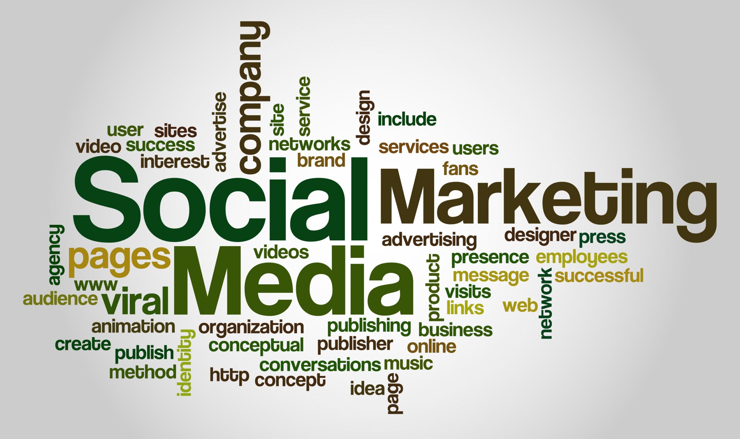 How to Choose the Best SMM Panel for Your Business in India