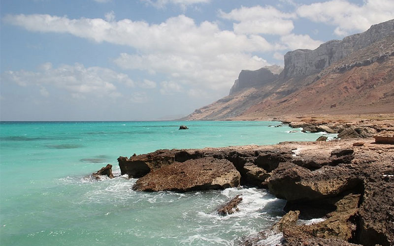 Facts to Know Before Your Travel to Socotra Island or Tourism