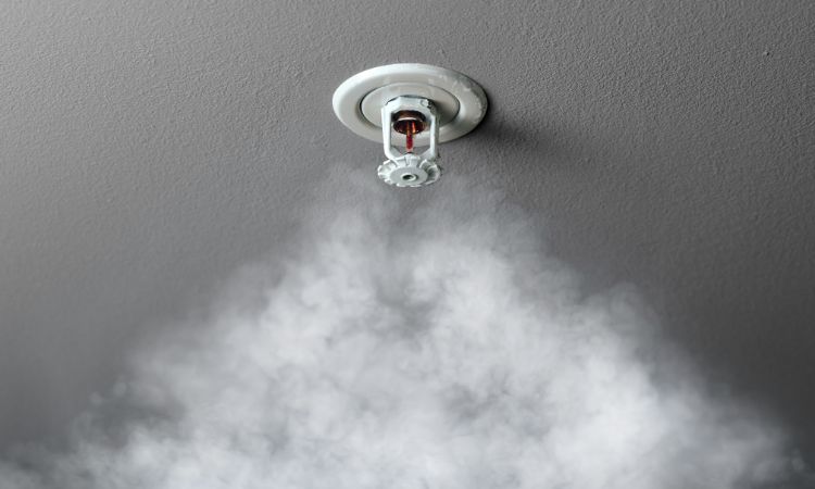 United States Fire Sprinklers Market Growth & Trends (2025-2034)