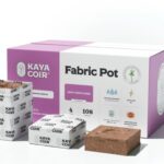 6 Reasons to Choose Coco Coir for Your Plants