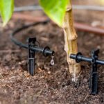 How Can an Efficient Irrigation System Enhance Your Garden?