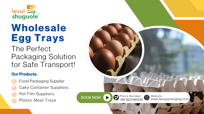 Wholesale Egg Trays: The Perfect Packaging Solution for Safe Transport!