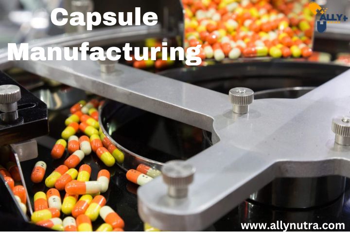 Elevate Your Brand with Premium Capsule Manufacturing Services at Ally Nutra