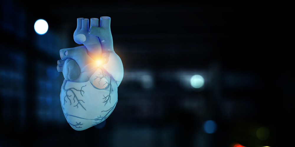 Heart Hypokinesis and Coronary Artery Disease: Are They Connected?