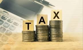 How to Check Your Company Registration Status Online – Elite Taxation’s Guide