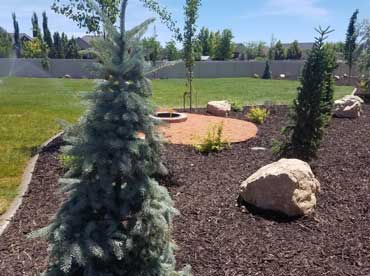 Enhancing Curb Appeal with Strategic Plant Installation