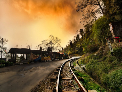 How to Choose the Best West Bengal Tour Packages for an Unforgettable Trip