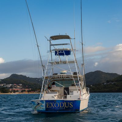 Cooking on the Water – Easy Tips for a Perfect Catamaran Tour St Lucia Cookout