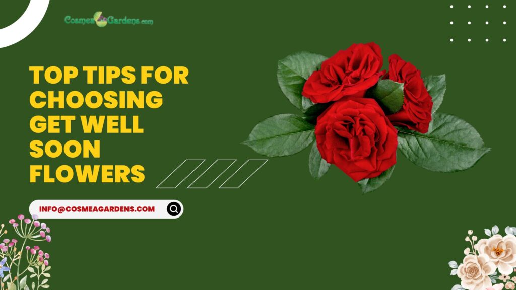Top Tips for Choosing Get Well Soon Flowers