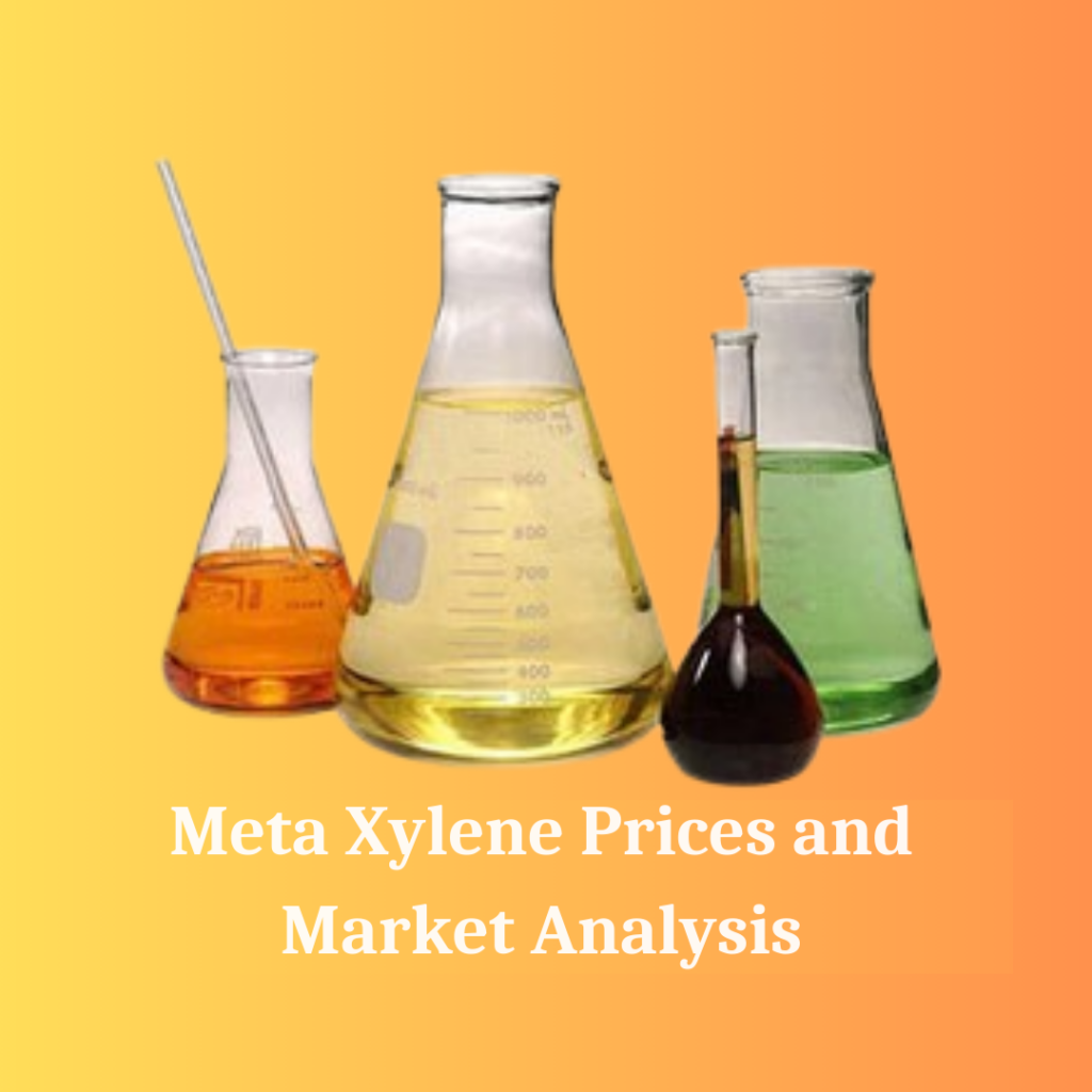 Global Meta Xylene Market Insights: Forecasts, Growth, and Major Players