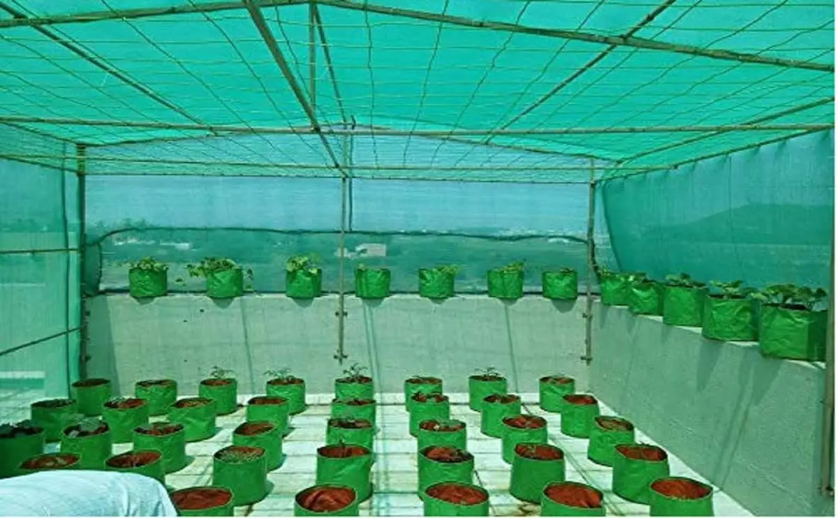What are the Advantages of Using Shade Net in Agriculture and Horticulture?