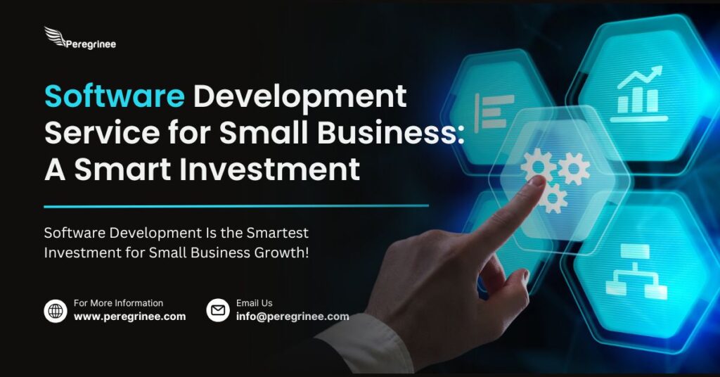 Software Development Service for Small Business: A Smart Investment