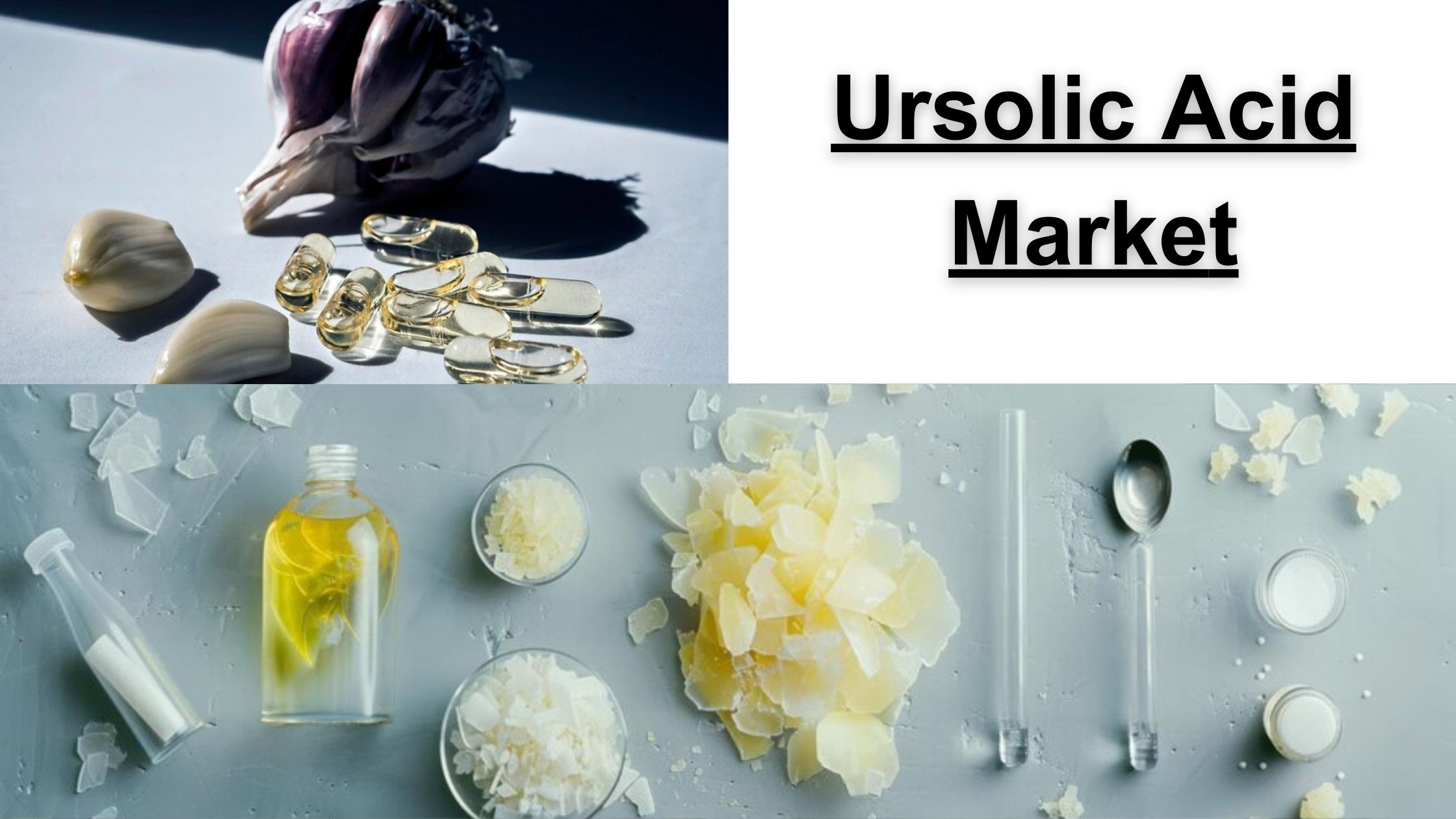 Ursolic Acid Market Emerging Trends & Future Forecast 2024–2029