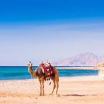 Hurghada Pyramiden Ausflug mit dem Flugzeug – Der ultimative