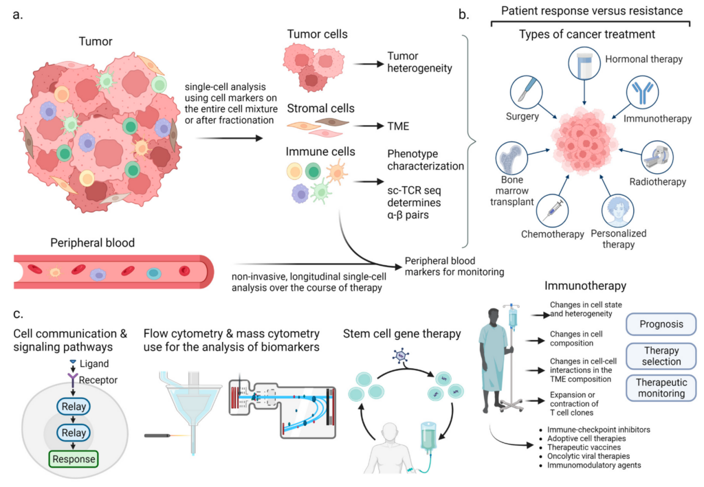Single Cell Analysis Market Growth Insights by 2030