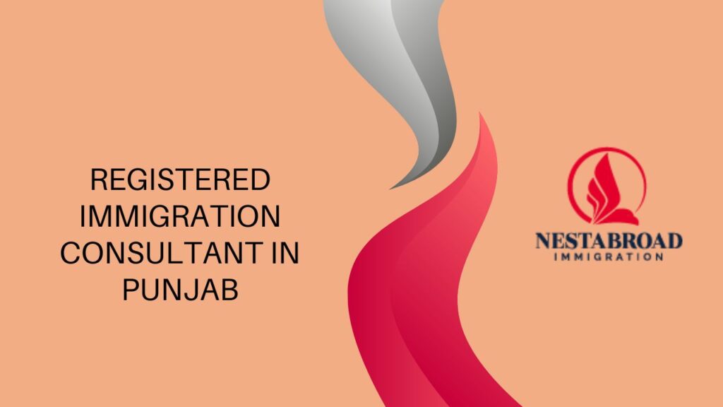 The Role of a Registered Immigration Consultant Explained