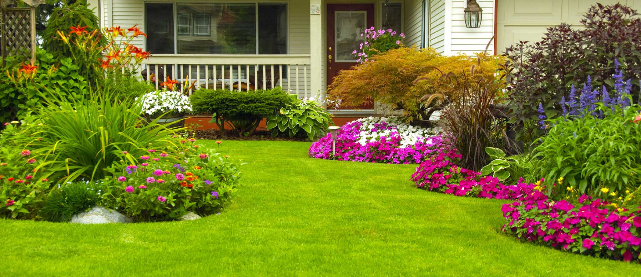 Backyard Makeovers: Transforming Your Outdoor Space with Kentucky Bluegrass