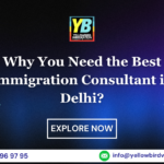 New Why You Need the Best Immigration Consultant in DelhPost