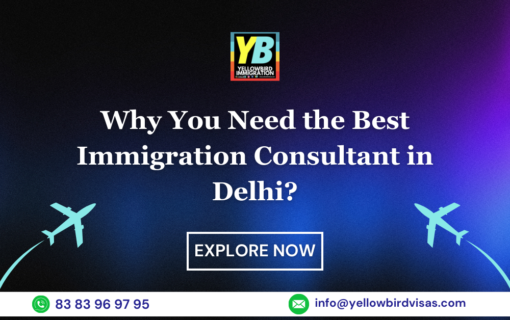 New Why You Need the Best Immigration Consultant in DelhPost