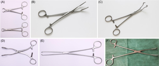 Dental Scissors Explained: Types, Uses & Importance in Modern Dentistry