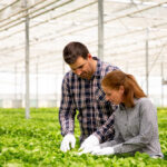 Pacific Greenhouse for Sale to Boost Your Harvest