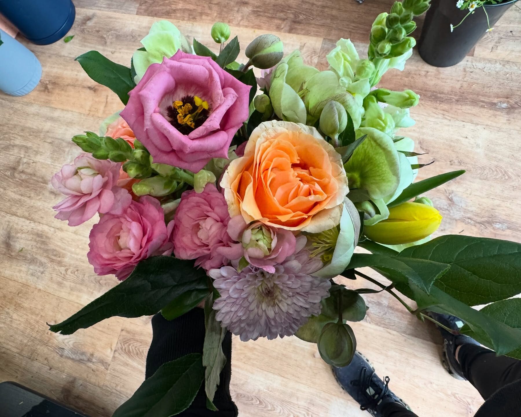 House Plants Pittsburgh PA: Surviving the Steel City’s Indoor Climate