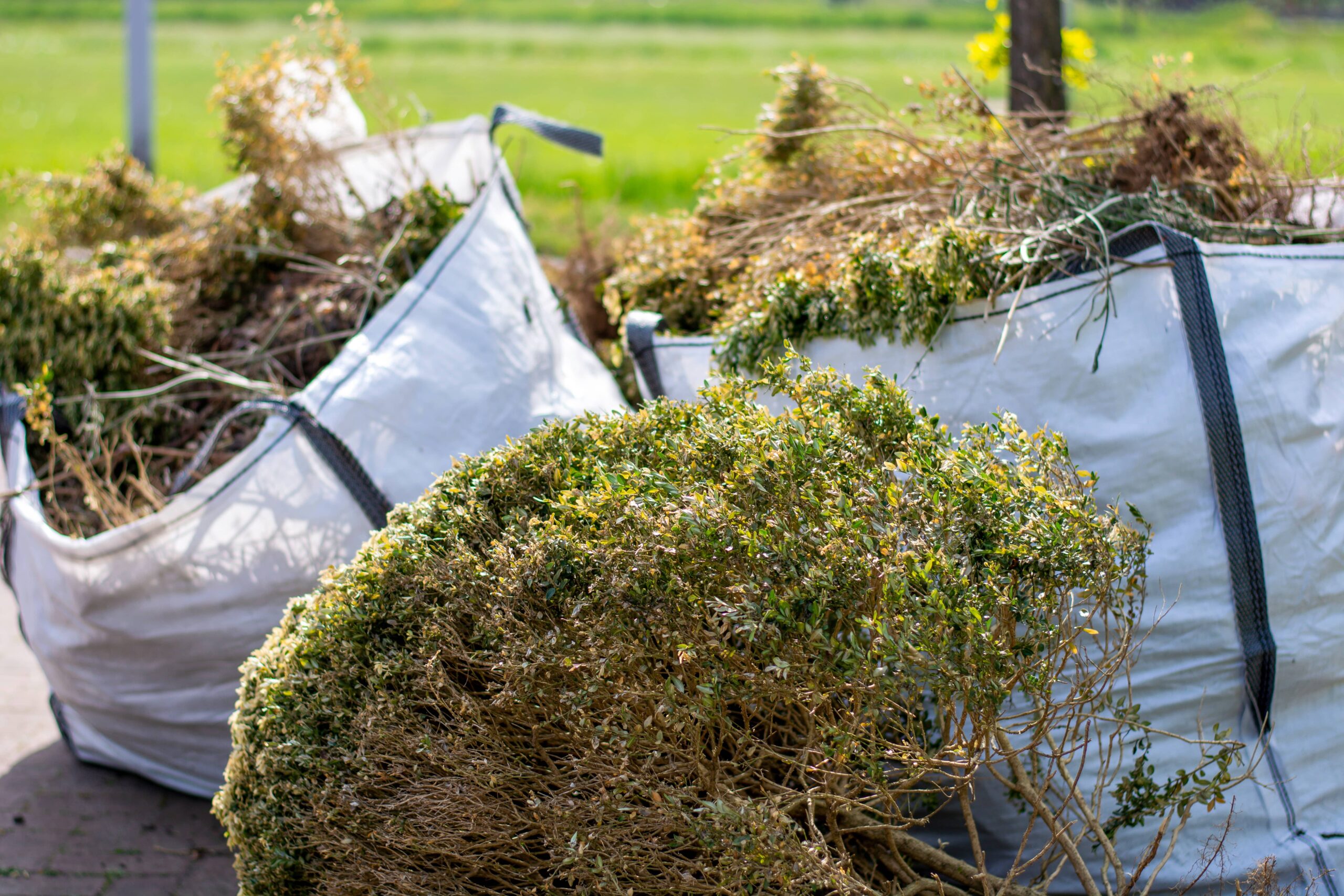 Top Rated House Clearance Poole Experts Providing Full Property Clearances Across the Area