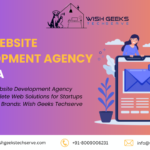 Noida’s Best Website Development Agency Providing Complete Web Solutions for Startups and Established Brands: Wish Geeks Techserve
