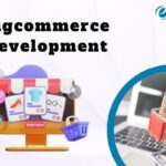 Bigcommerce Development