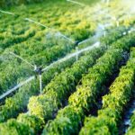 Elevate Microbial Activity in Soil Using Next-Gen Zymes