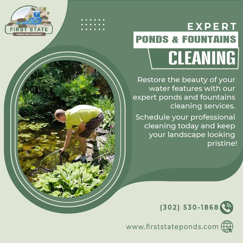 Ponds & Fountains Cleaning Services Near You in Delaware, USA