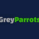 Grey Parrots of Texas