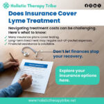 Exploring the True Economic and Social Impact of Lyme Disease on Public Health