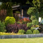 How to Choose the Best Landscaping Company in Saudi Arabia