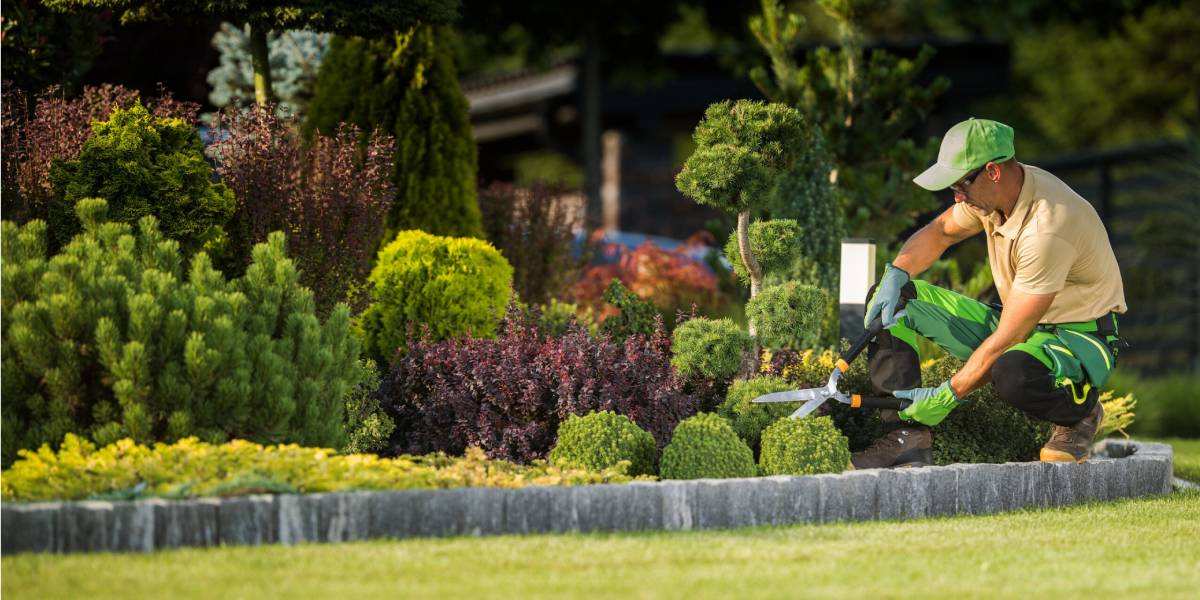 How to Choose the Best Landscaping Company in Saudi Arabia