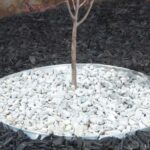 Circle Garden Edging: A Key to Neat and Organized Garden Beds