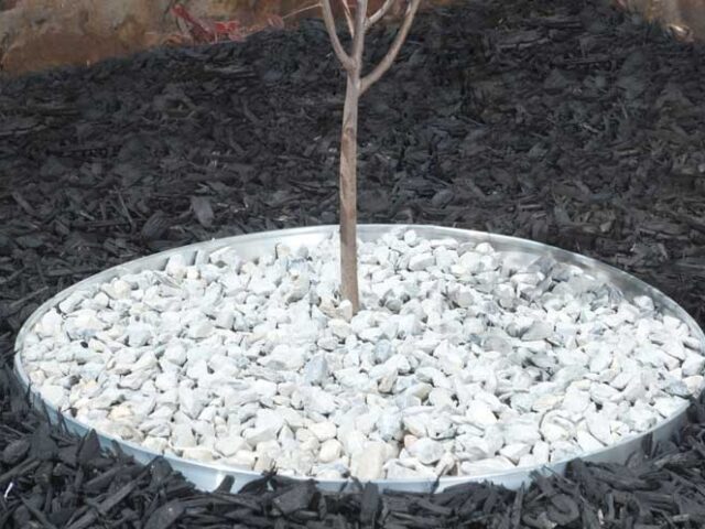 Circle Garden Edging: A Key to Neat and Organized Garden Beds