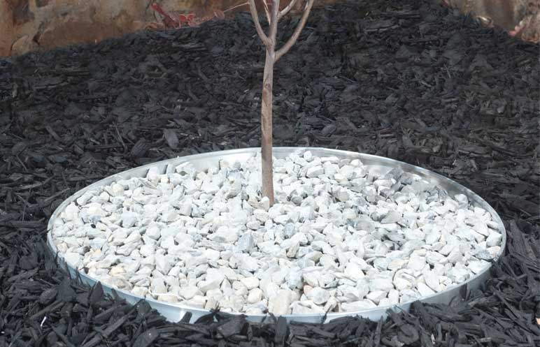 Circle Garden Edging: A Key to Neat and Organized Garden Beds