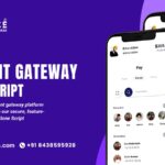 Online Payment Gateway Clone Script: Create a Seamless Payment App Effortlessly