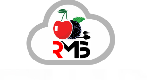 Why CherryBerry RMS Is a Game-Changer for Restaurant Management