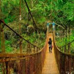 Guwahati to Shillong: A Perfect Travel Itinerary for First-Time Visitors