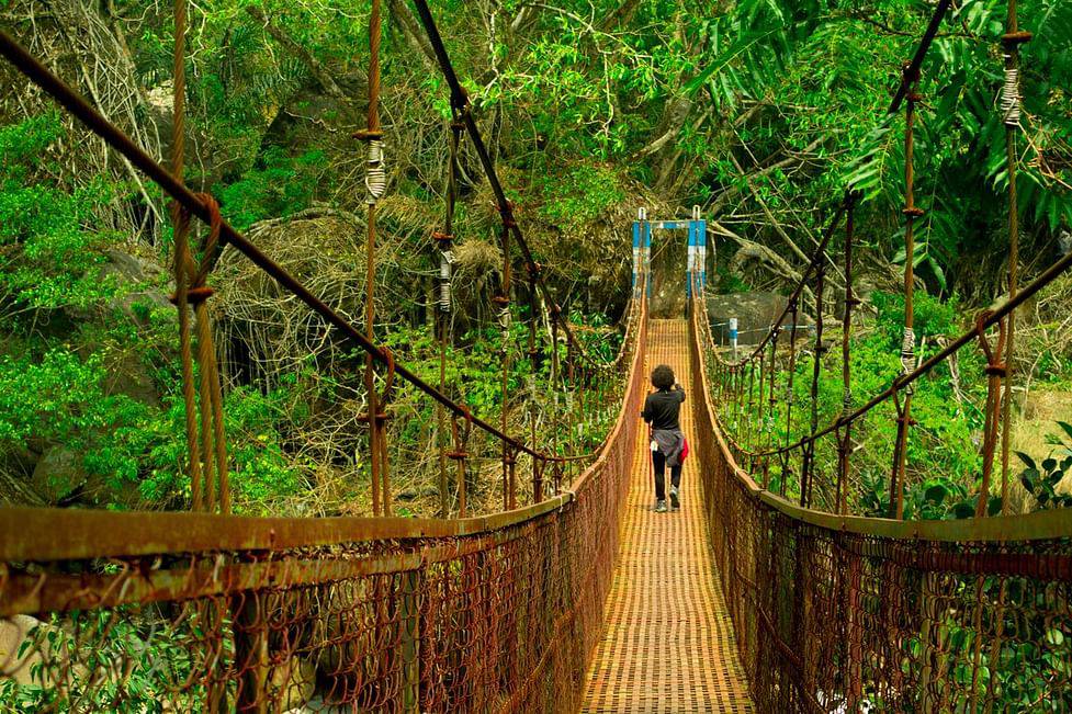 Guwahati to Shillong: A Perfect Travel Itinerary for First-Time Visitors