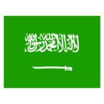 Saudi Arabia eVisa – Online Visa and Travel Authorization