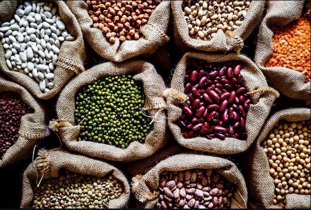 Italy Vegetable Seeds Market Growth, Size, Trends & Forecast 2025-2033