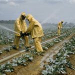 Best Places To Buy Fertilizer Near Me In Okara For Healthy Crops