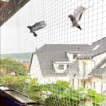 Bird Net Dubai: Eco-Friendly Protection Against Birds