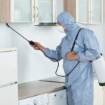 Keep Your Home Safe From Tiny Intruders That Never Sleep