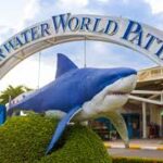 Dive Into Pattaya Underwater World – Book Discounted Tickets & Save.