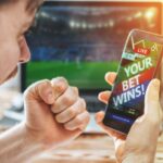 Best Baseball Betting Software: Why Ace Per Head’s Tools Are