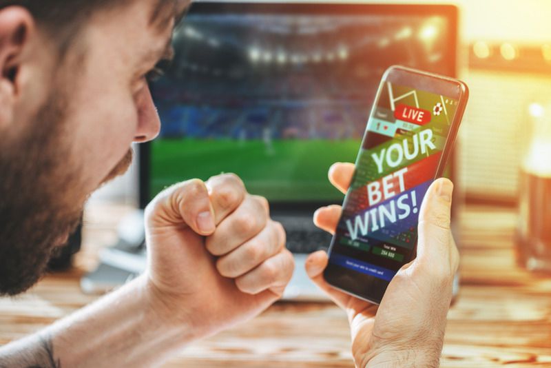 Best Baseball Betting Software: Why Ace Per Head’s Tools Are